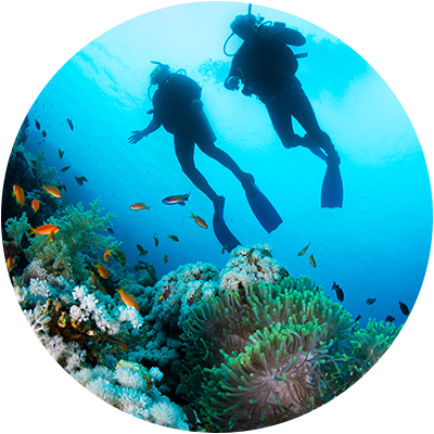 Diving in Bodrum